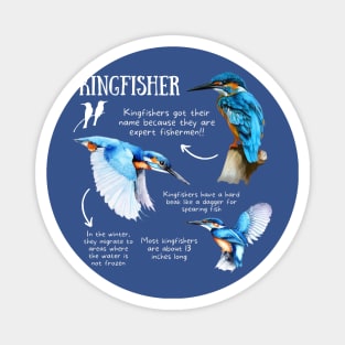 Animal Facts - Kingfisher Magnet